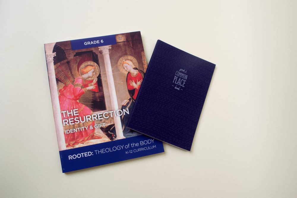 K-8 TOB NEW ORDERS: REVEALED NEW 2024 USCCB K-5 Teacher Kits & Student Books &/or ROOTED 6-8 Teacher's Guides & Student Commonplace Books (2019) - Image 2