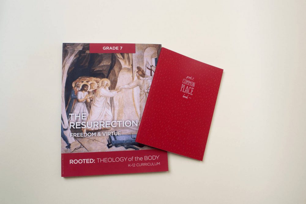 K-8 TOB NEW ORDERS: REVEALED NEW 2024 USCCB K-5 Teacher Kits & Student Books &/or ROOTED 6-8 Teacher's Guides & Student Commonplace Books (2019) - Image 3