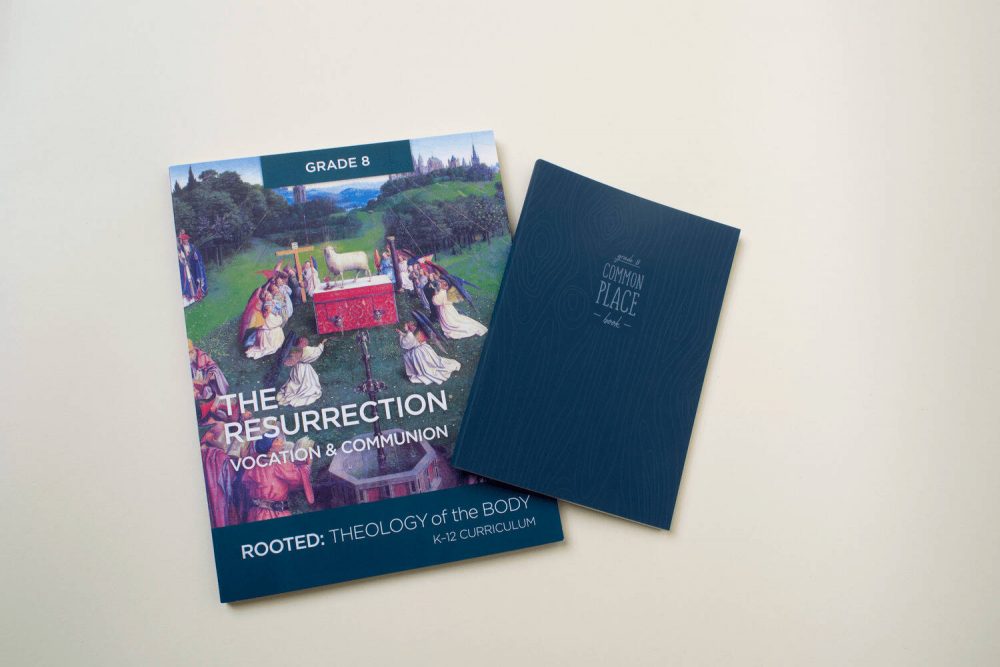 K-8 TOB NEW ORDERS: REVEALED NEW 2024 USCCB K-5 Teacher Kits & Student Books &/or ROOTED 6-8 Teacher's Guides & Student Commonplace Books (2019) - Image 4