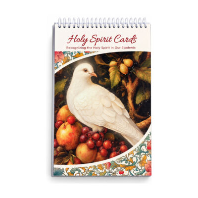 Holy Spirit Cards • Recognizing the Holy Spirit in Our Students